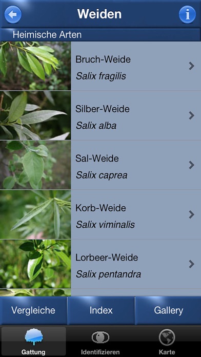 Screenshot #3 pour Baum Id Schweiz - Naturführer