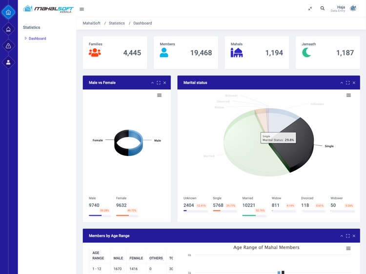 MahalSoft DataEntry Software