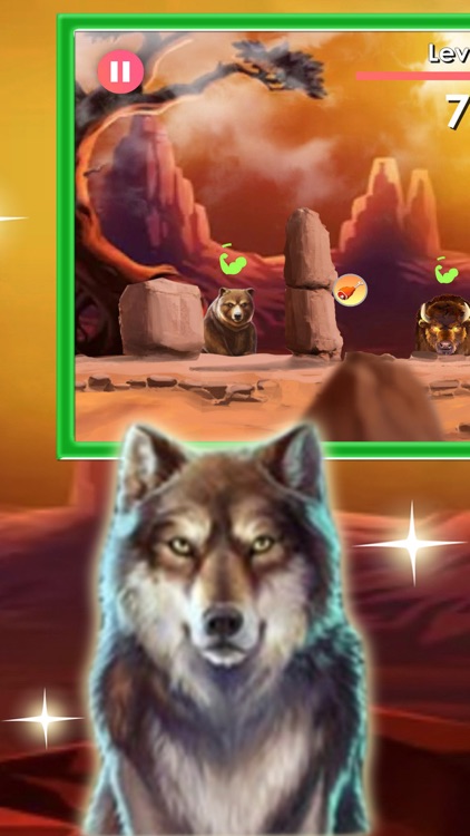 Grand Canyon - Buffalo Rising