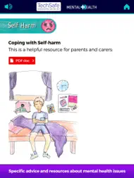 TechSafe - Mental Health ipad bilder 3
