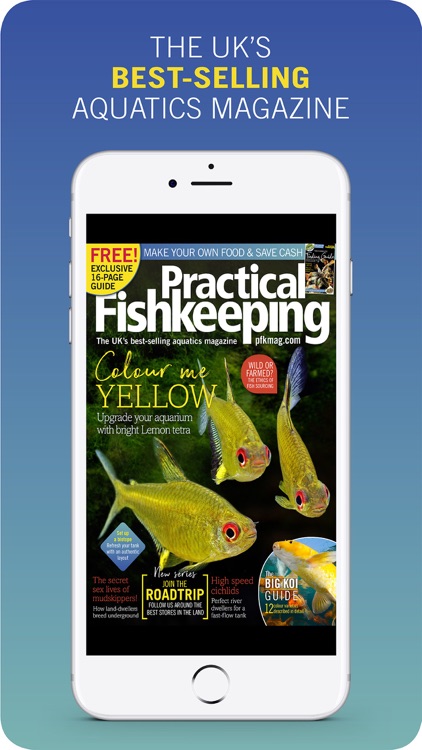 PFK: Practical Fishkeeping