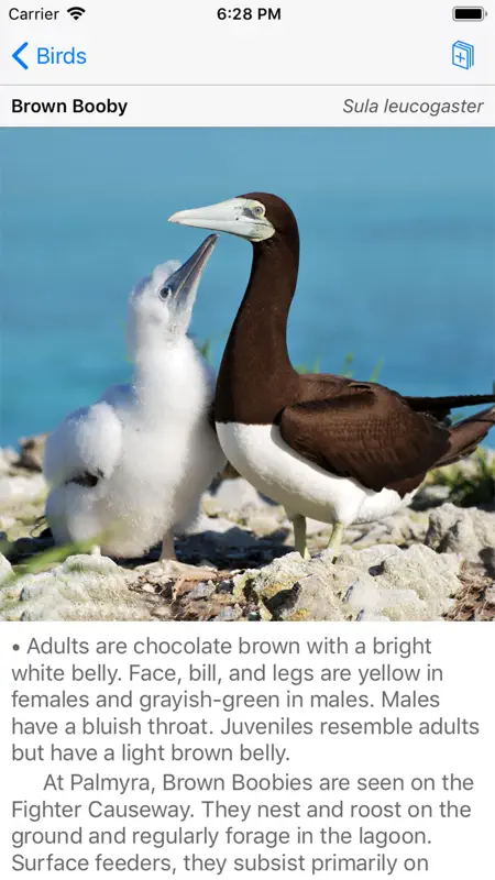 Palmyra Atoll Nature Guide screenshot 4 of 7