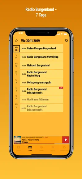 Game screenshot ORF Burgenland hack