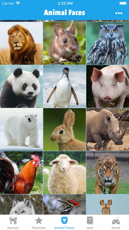 Animal Sounds for Kids Lite! screenshot-4