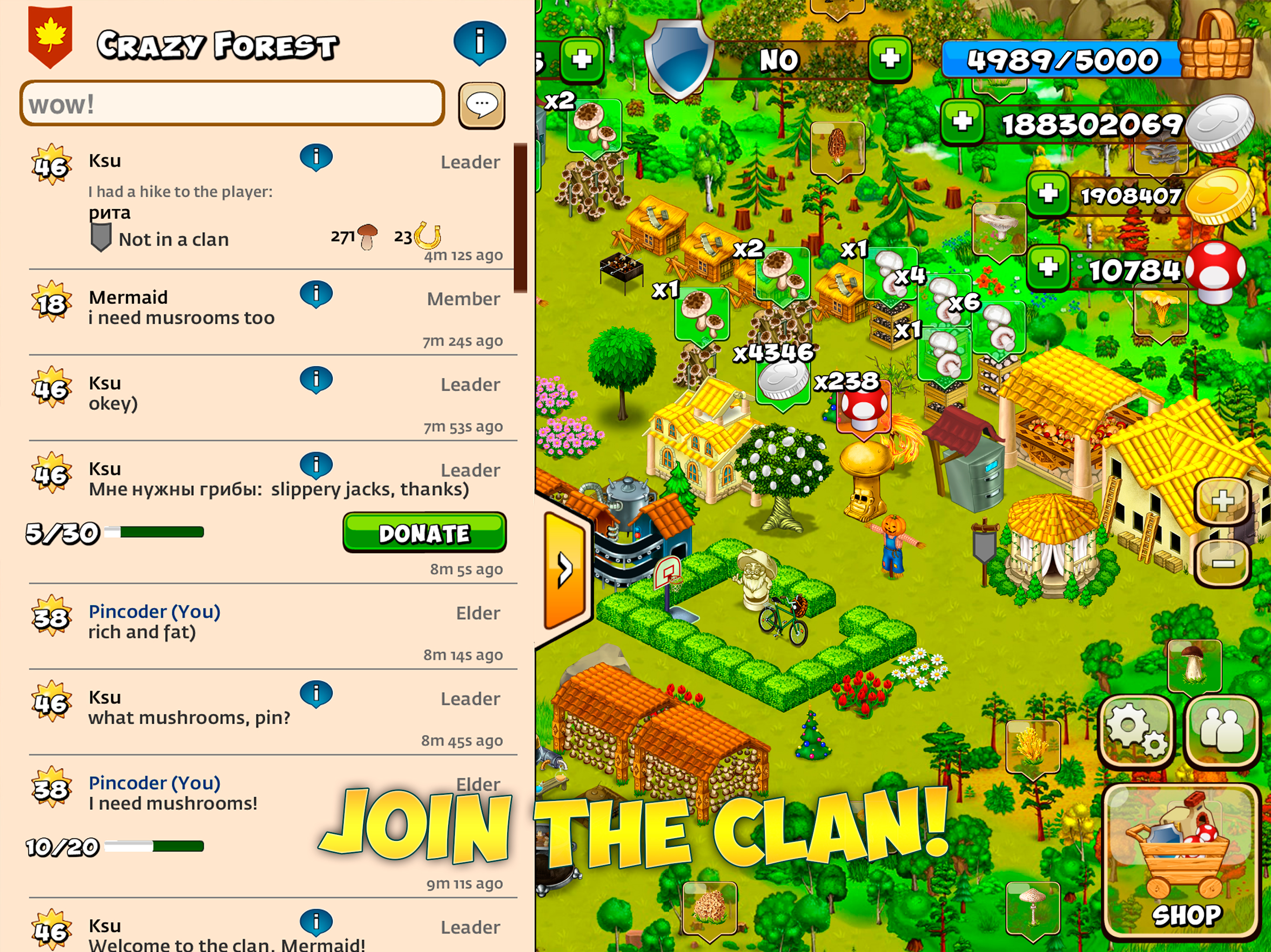 Forest Clans