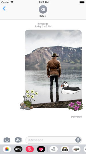 Arctic Stickers(圖5)-速報App