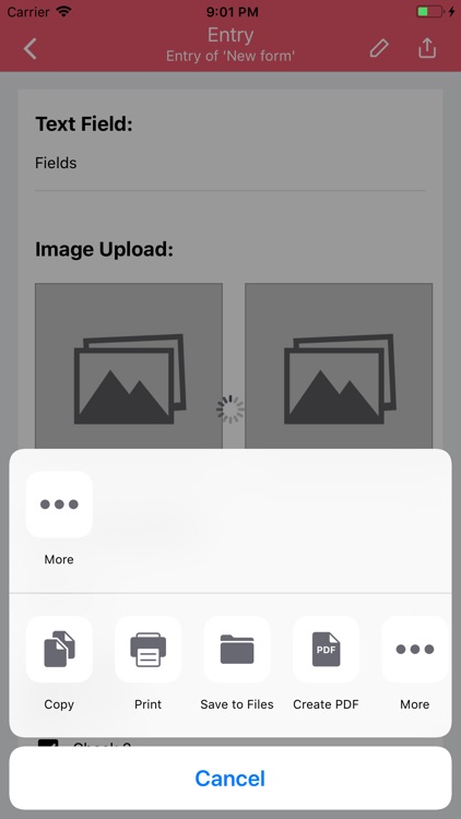 Form Pro screenshot-5