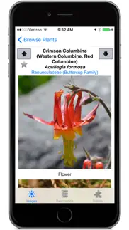 yosemite wildflowers iphone screenshot 4