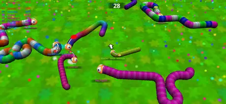 Amaze Snake - Roller Race