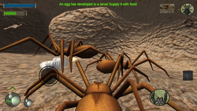 Spider Colony Simulatorのおすすめ画像5