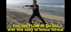 Tai Chi Fit FLOW screenshot #4 for iPhone