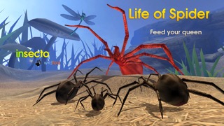 Life Of Spiderのおすすめ画像1