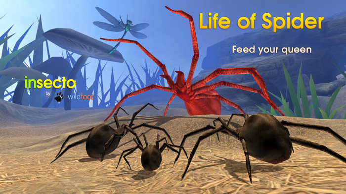 Life Of Spider
