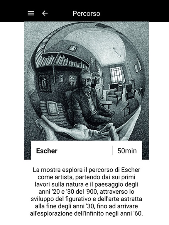 Screenshot #4 pour Mostra Escher