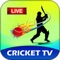 If you are cricket lover, it is right place