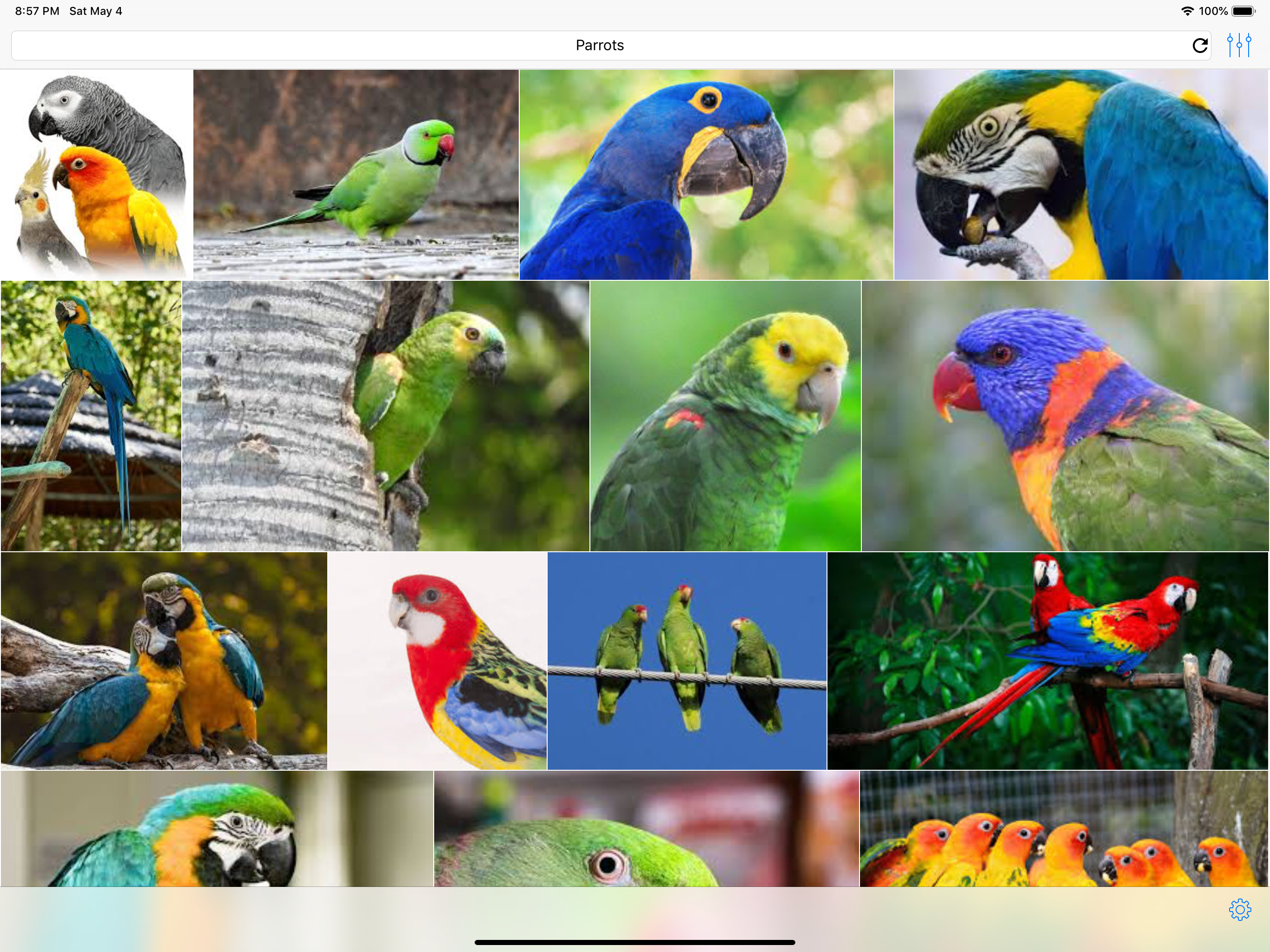 Wizor – Search by picture screenshot 6