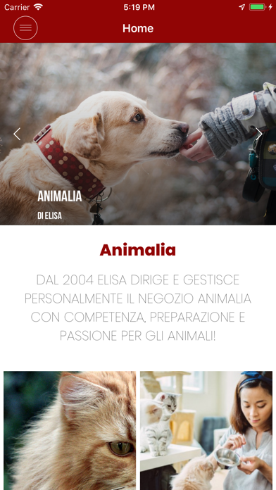 Animalia di Elisa Screenshot