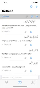 QuranReflect screenshot #3 for iPhone