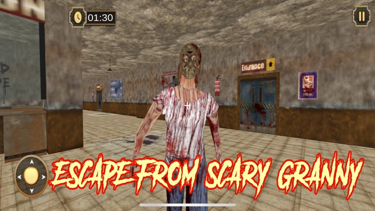 Scary Neighbor Granny House 3D