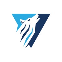 Vertexo pour PC