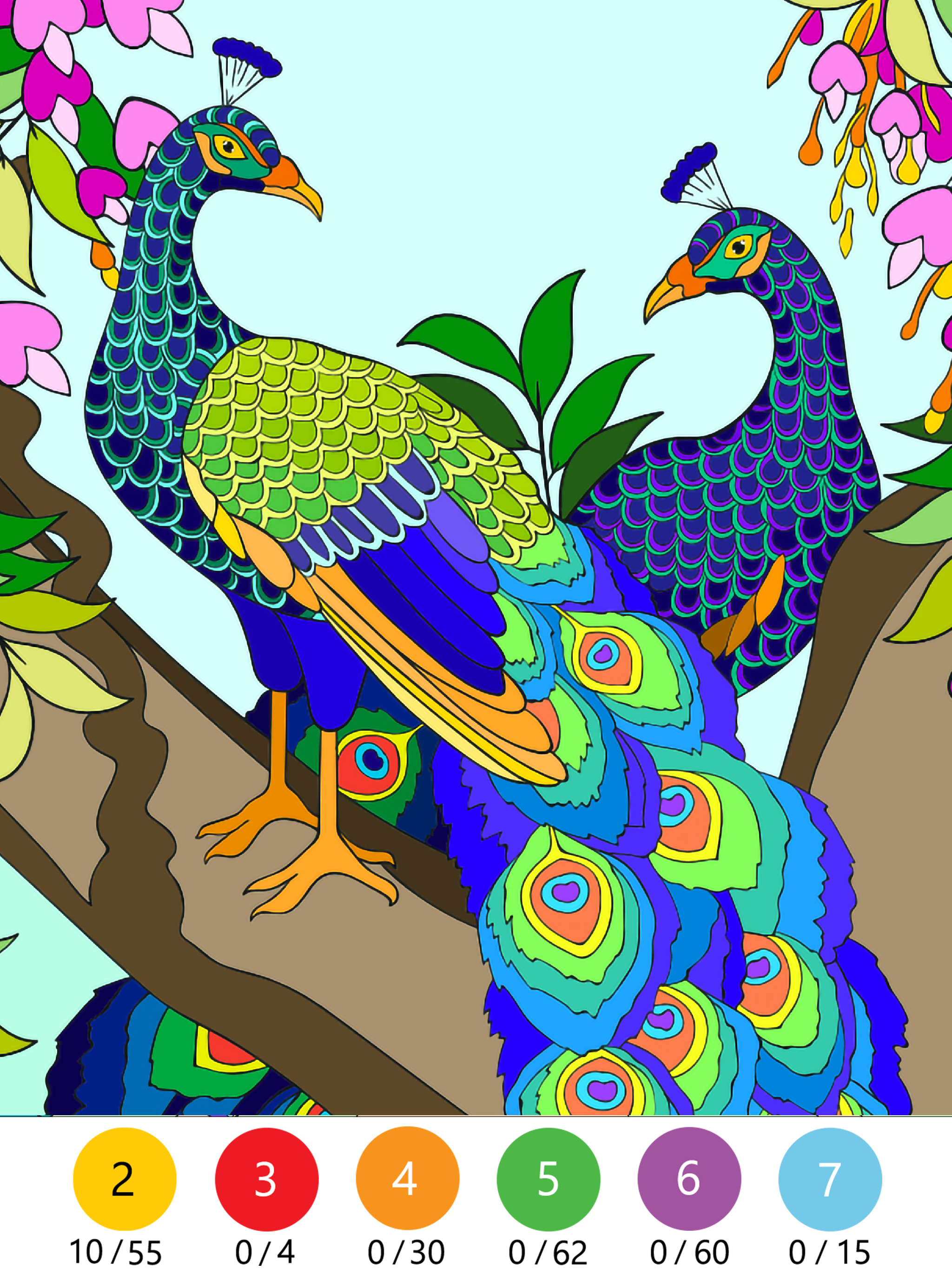 Wonder Color - Color by Number