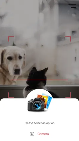 Game screenshot Breed Recognizer hack