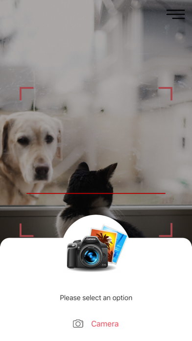 Screenshot #3 pour Breed Recognizer