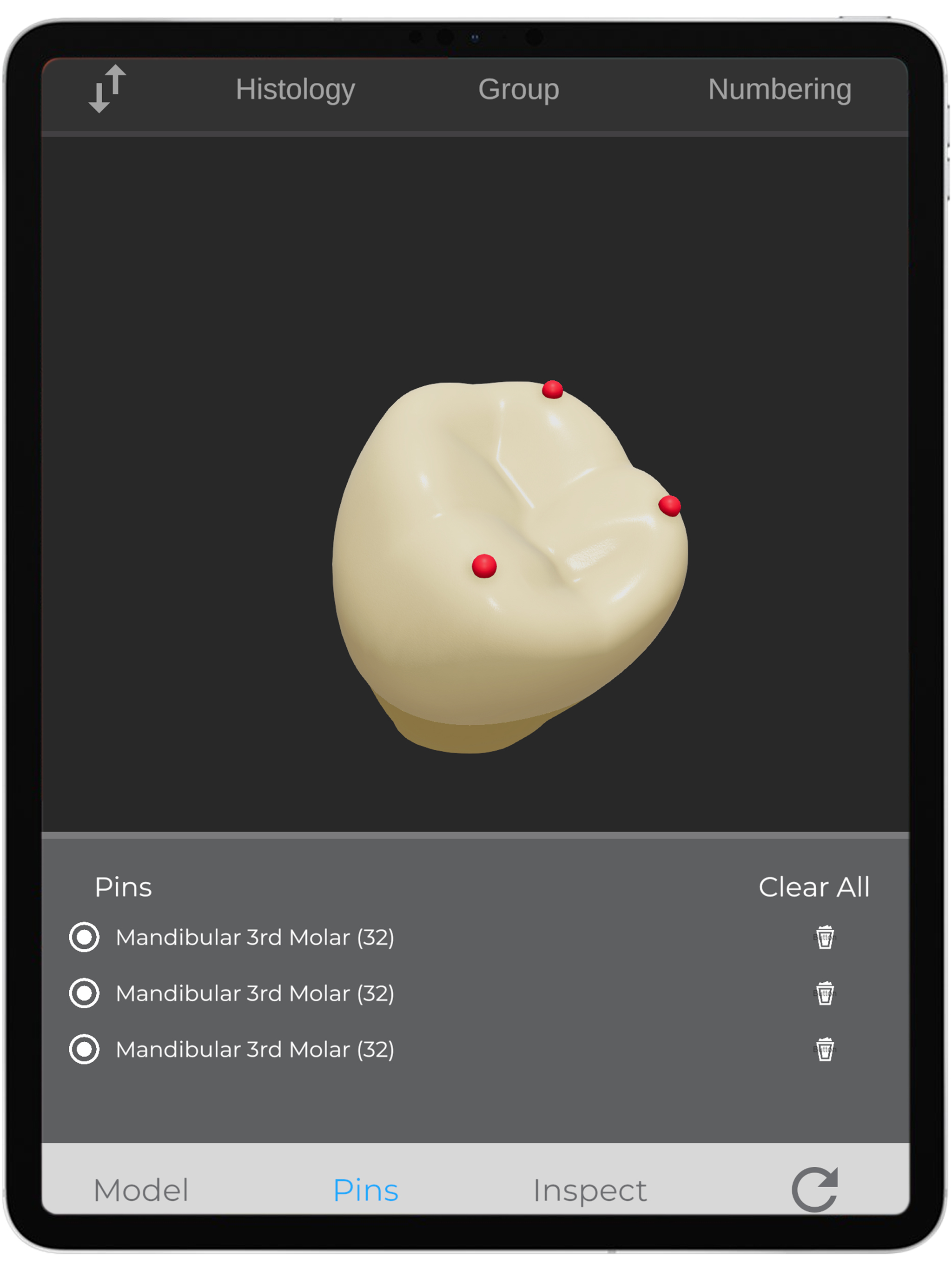 ToothView™ screenshot 5