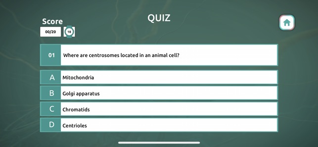 Process of Cell Division(圖4)-速報App