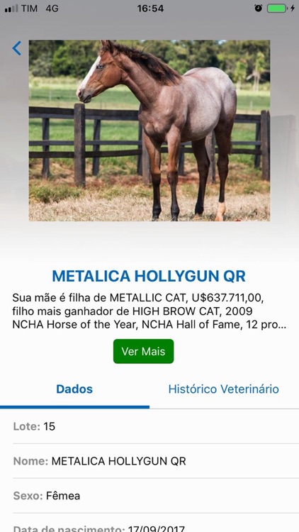 Criar Leilões screenshot-3