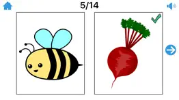 minimal pairs/final consonants problems & solutions and troubleshooting guide - 3