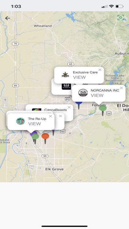 Kushy - Delivery & Info screenshot-3