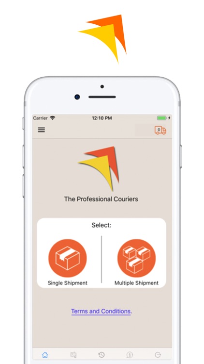 The Professional Couriers BLR