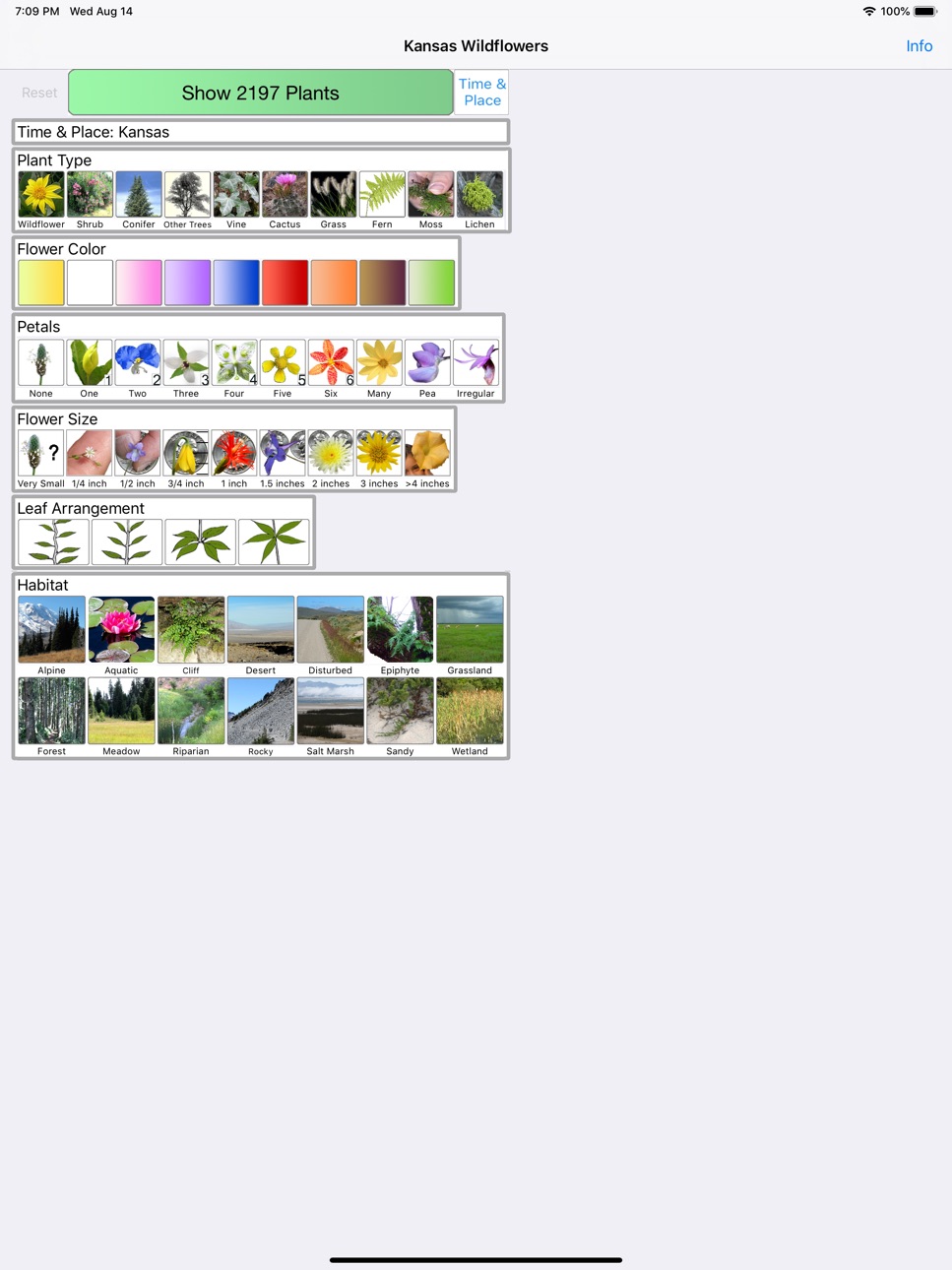 iPad screenshot