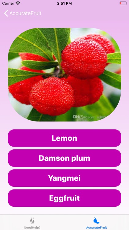 AccurateFruit screenshot-4