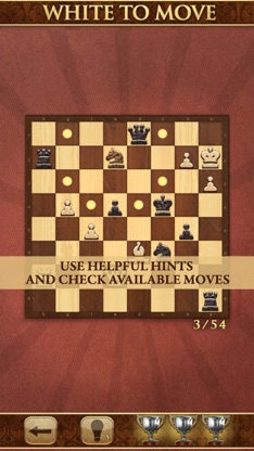 Mate in One Move. Chess Puzzle screenshot 4