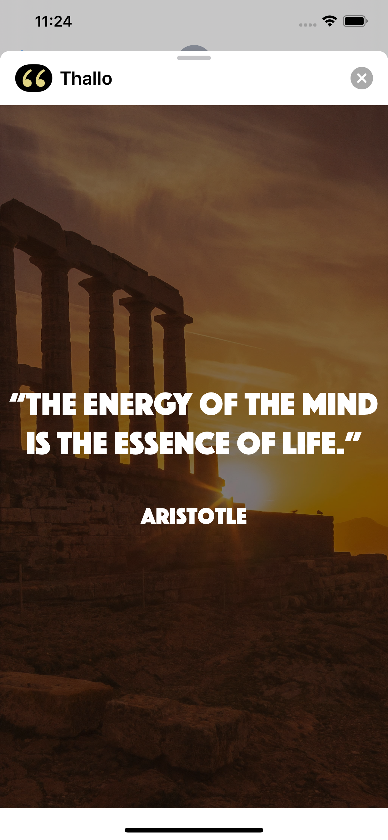 Thallo - ancient Greek quotes