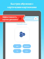 easy peasy: Английский (edu) айпад изображения 4