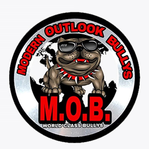 Modern Outlook Bullys Icon