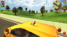 Game screenshot Pigeon Survival Simulator 3D 2 apk