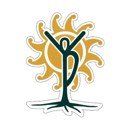 Bandaloop Yoga Cheats