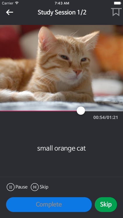 Basic English for Beginners screenshot-3