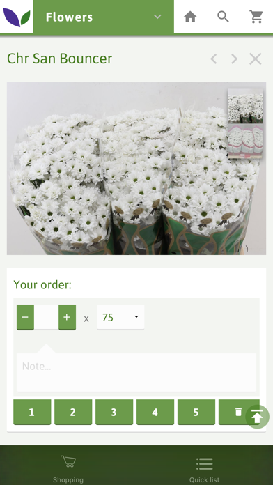 Noort Screenshot