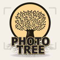 Photo Tree Family Albums