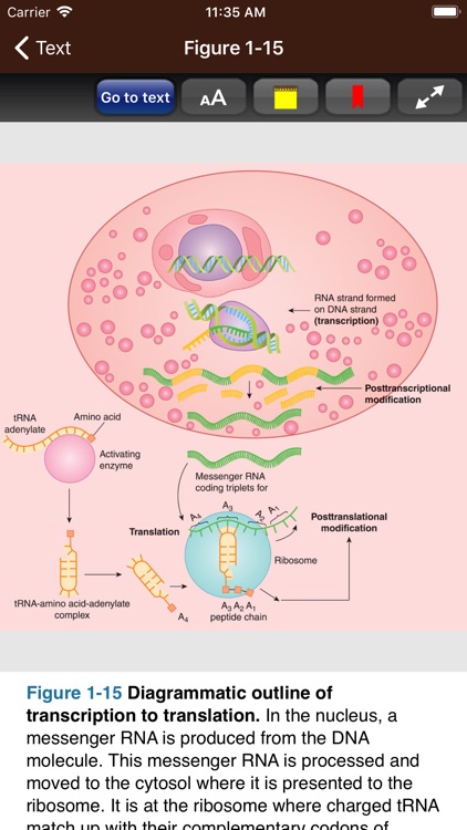 Ganong's Review Physiology 26E screenshot-5