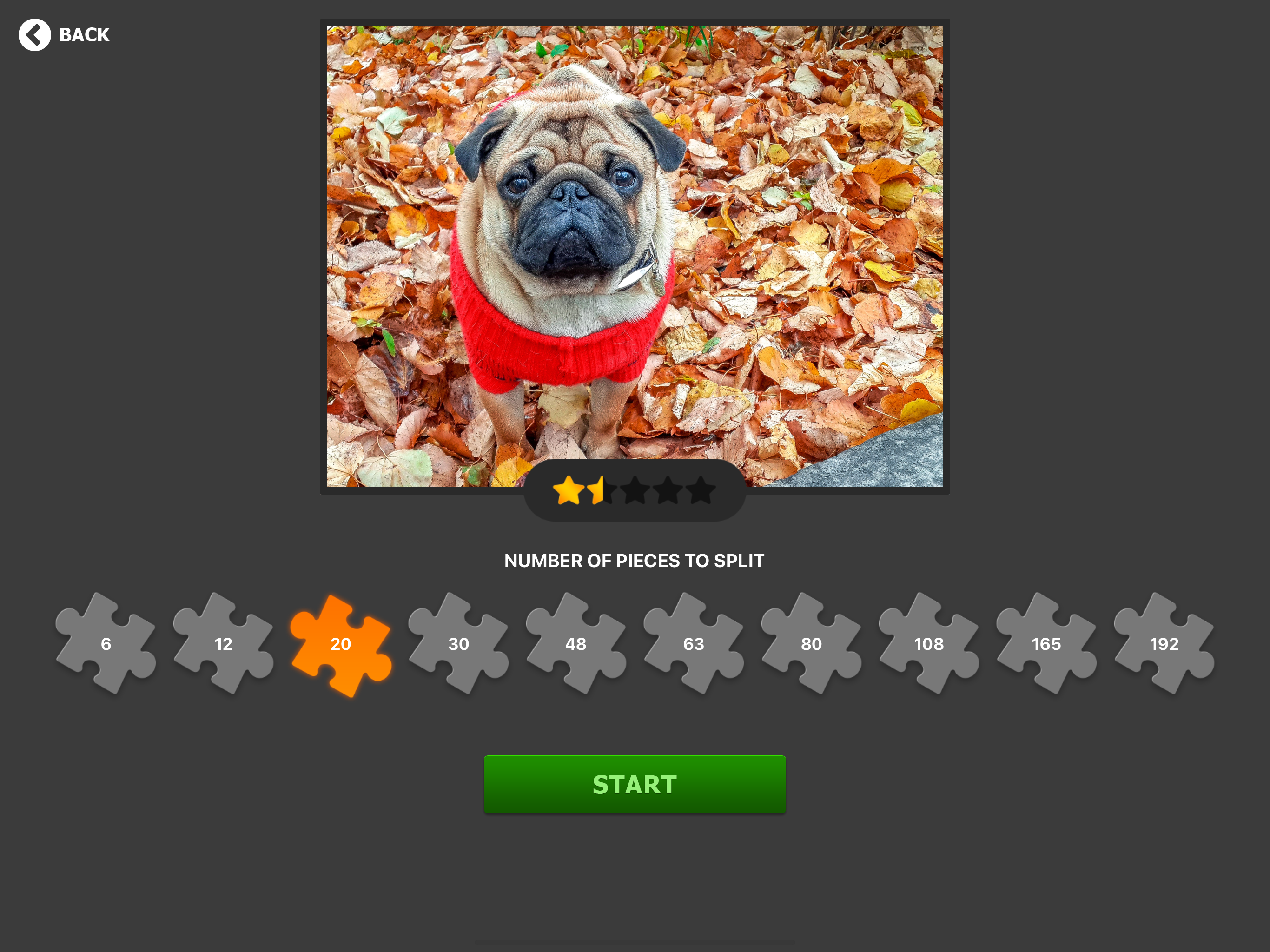 Jigsaw Puzzles for iPad Pro