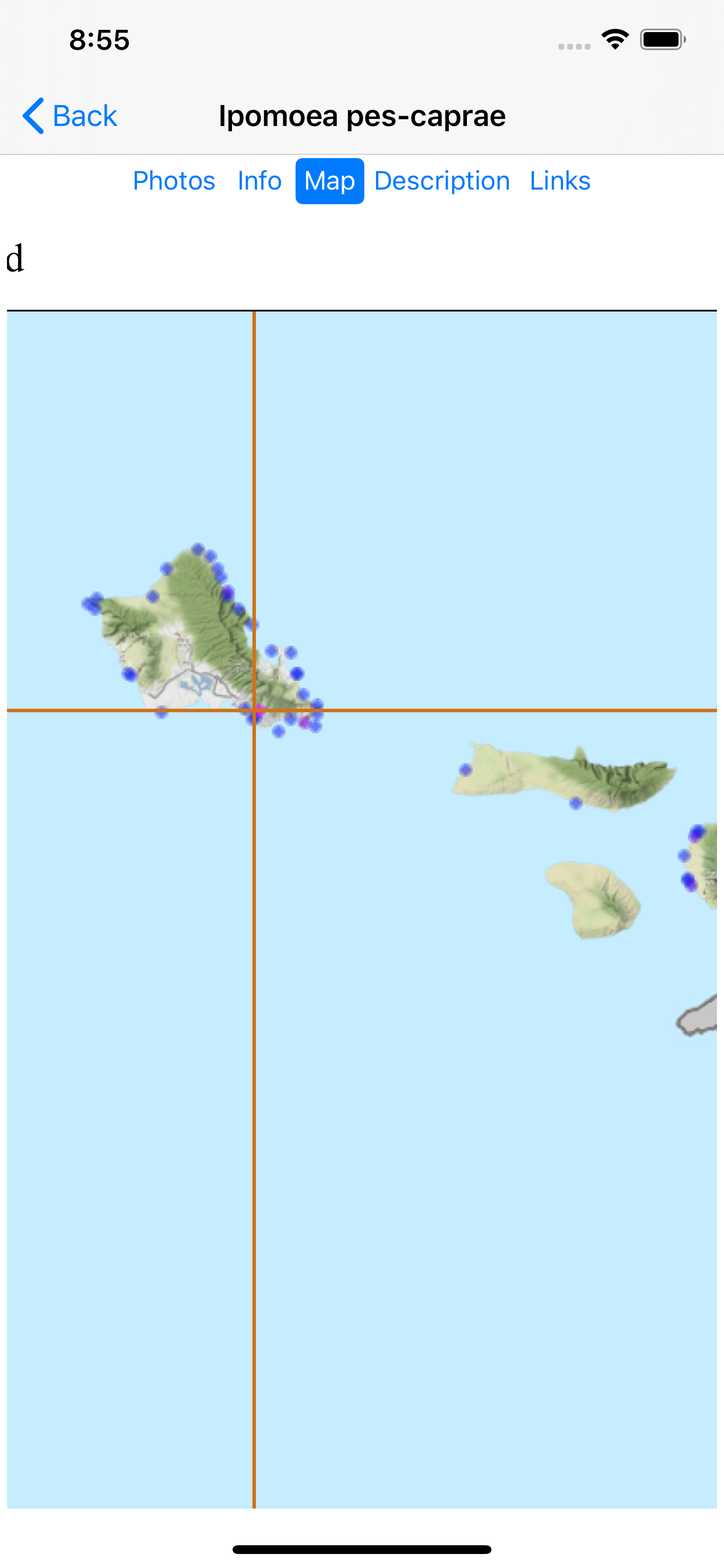 Hawaii Plants