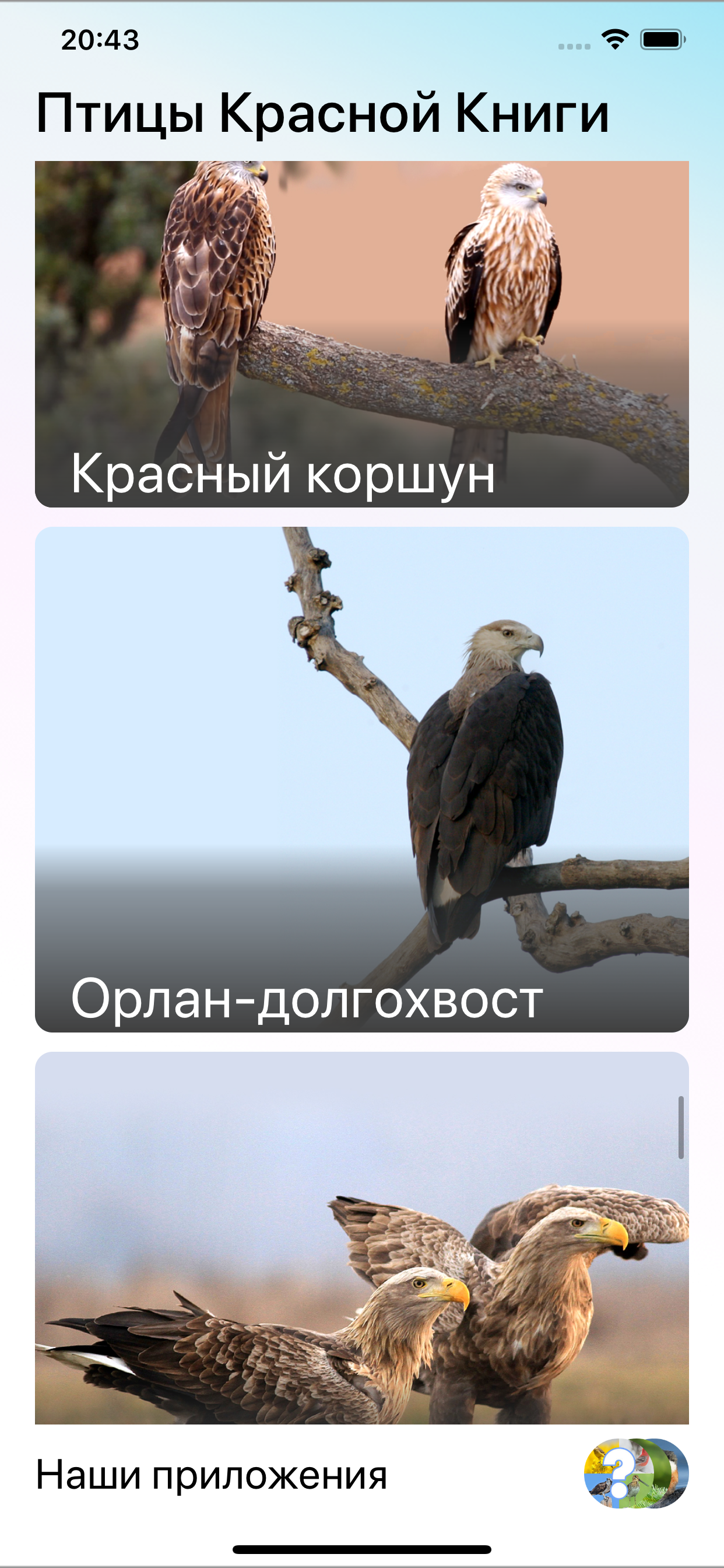 Птицы Красной Книги России screenshot 4