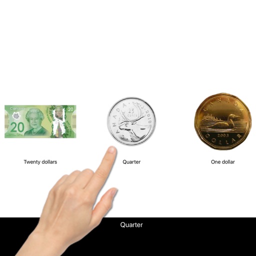 Discriminating Money (CAD) icon