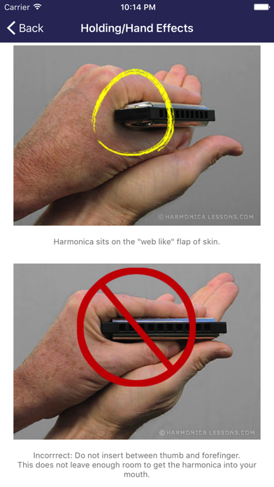 How to cancel & delete Harmonica Beginner Lessons from iphone & ipad 2